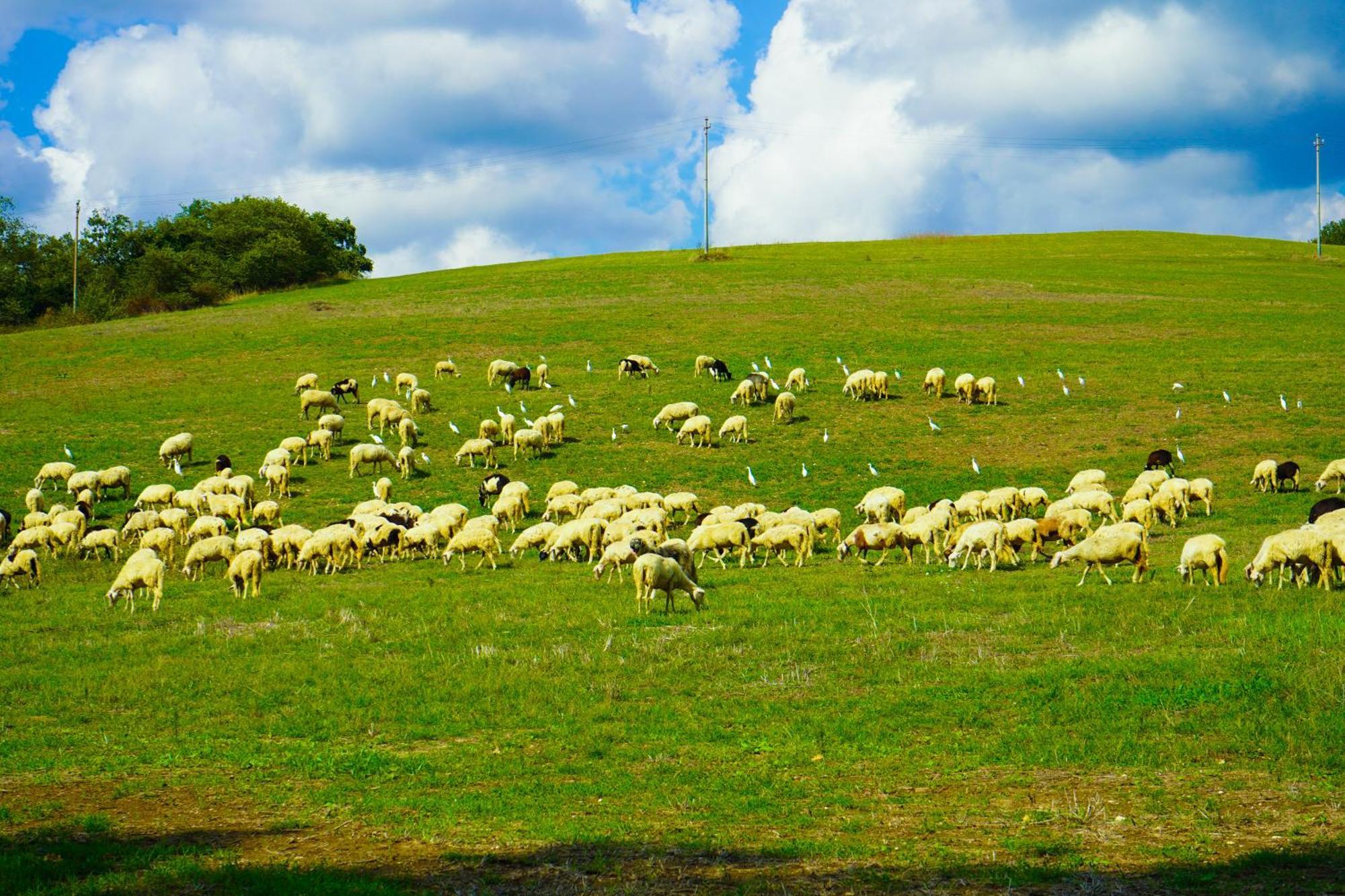 Alloggio per agriturismo Borgo Pallavicini Mori